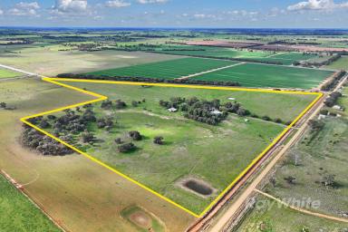 Lifestyle For Sale - VIC - Lockington - 3563 - "YELLOW JACKS RISE" - Your Ideal Country Lifestyle Awaits - Welcome Home  (Image 2)