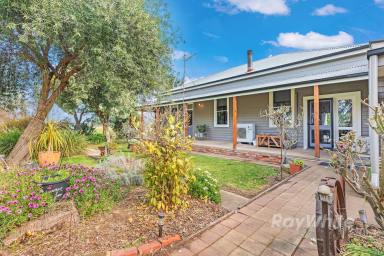 Lifestyle For Sale - VIC - Lockington - 3563 - "YELLOW JACKS RISE" - Your Ideal Country Lifestyle Awaits - Welcome Home  (Image 2)