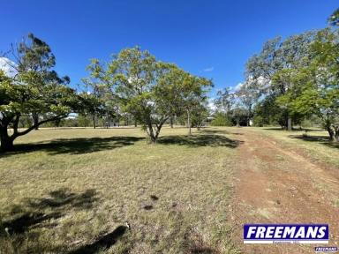 House For Sale - QLD - Ellesmere - 4610 - 14.7 acres with fully equipped drinkable bore  (Image 2)