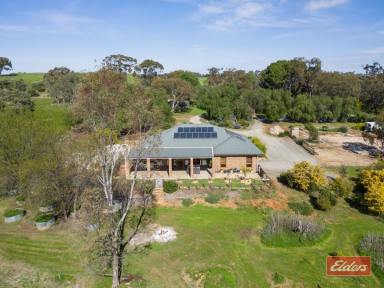 House Sold - SA - Cockatoo Valley - 5351 - UNDER CONTRACT BY CHRISTOPHER HURST  (Image 2)