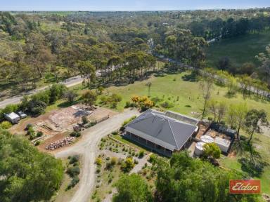 House Sold - SA - Cockatoo Valley - 5351 - UNDER CONTRACT BY CHRISTOPHER HURST  (Image 2)