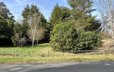 Residential Block Sold - NSW - Candelo - 2550 - Great block for residential and/or commercial development ... or both!  (Image 2)