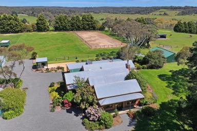 House Sold - VIC - Durham Lead - 3352 - Country Paradise With Incredible Views And River Frontage!  (Image 2)