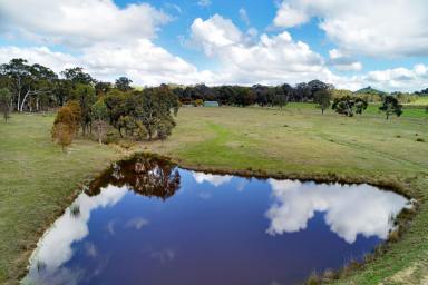 Other (Rural) Sold - VIC - Merton - 3715 - Idyllic 15.24-Acre Rural Retreat in Merton: Perfect for Hobby Farming  (Image 2)