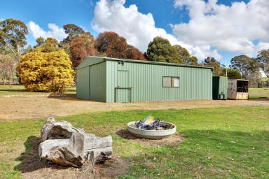 Other (Rural) Sold - VIC - Merton - 3715 - Idyllic 15.24-Acre Rural Retreat in Merton: Perfect for Hobby Farming  (Image 2)