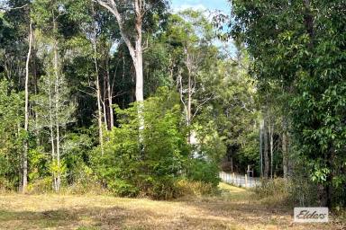 Residential Block For Sale - QLD - Chatsworth - 4570 - Acreage Designed Home Package - 16 week build time!  (Image 2)