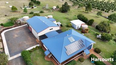 House For Sale - QLD - Doolbi - 4660 - 5.9AC - 2 HOUSES - MASSIVE SHED AND PLENTY MORE  (Image 2)