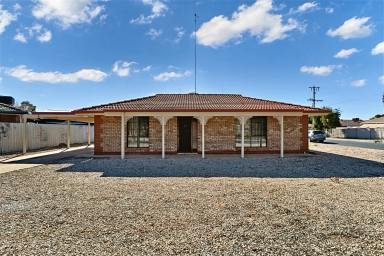 Unit For Sale - VIC - Mildura - 3500 - Low-Maintenance Living at 1/12 Settlers Drive  (Image 2)