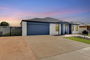 House For Sale - VIC - Mildura - 3500 - Stylish & Spacious Family Living Awaits  (Image 2)