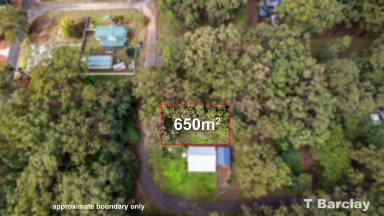 Residential Block Sold - QLD - Russell Island - 4184 - Above Average Sized Land 650m2 with Boundary Survey  (Image 2)