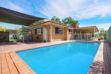 House Sold - NSW - Howlong - 2643 - COMFORTABLE FAMILY HOME IN THE POPULAR HOWLONG TOWNSHIP  (Image 2)