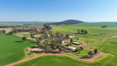 Cropping Auction - NSW - Gunnedah - 2380 - PRODUCTIVE LAND IN A FERTILE AGRICULTURAL REGION  (Image 2)