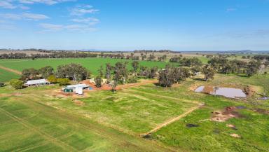 Cropping For Sale - NSW - Gunnedah - 2380 - PRODUCTIVE LAND IN A FERTILE AGRICULTURAL REGION  (Image 2)