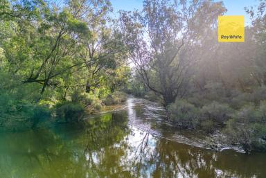 House For Sale - WA - Darradup - 6275 - Rare River frontage + 160 acres + 2 homes  (Image 2)