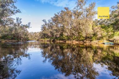 House For Sale - WA - Darradup - 6275 - Rare River frontage + 160 acres + 2 homes  (Image 2)