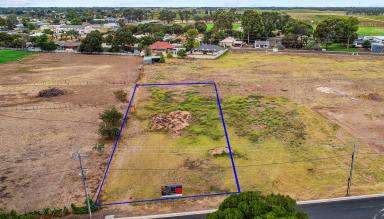 Residential Block For Sale - SA - Penola - 5277 - Dream home location in the heart of Penola  (Image 2)