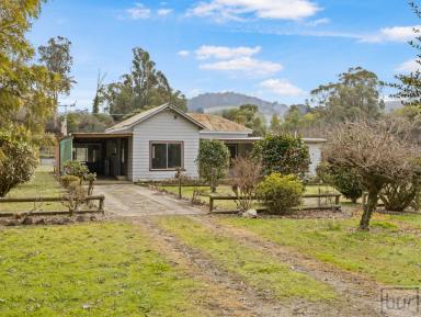 Lifestyle For Sale - VIC - Tallandoon - 3701 - Creek Side Lifestyle In The Tightly Held Mitta Valley  (Image 2)