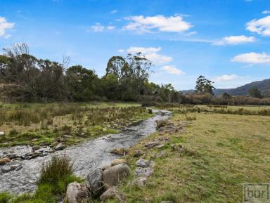 Lifestyle For Sale - VIC - Tallandoon - 3701 - Creek Side Lifestyle In The Tightly Held Mitta Valley  (Image 2)