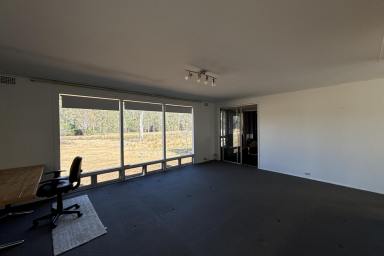 House Leased - NSW - Kungala - 2460 - Almost Paradise - Rural Living  (Image 2)