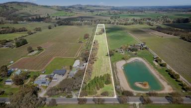 Viticulture For Sale - SA - Bethany - 5352 - Vineyard Opportunity at 880 Basedow Road, Bethany  (Image 2)