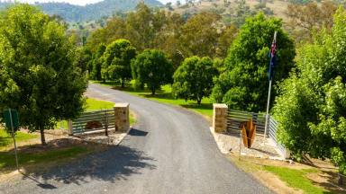 Lifestyle For Sale - NSW - Jingellic - 2642 - "Rest Point" - A Magnificent Riverfront Property  (Image 2)