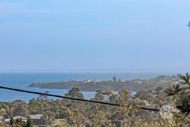 House For Sale - VIC - Mount Martha - 3934 - Tranquil Retreat with Bay Views  (Image 2)