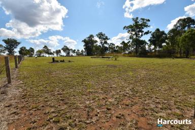 Residential Block For Sale - QLD - Dallarnil - 4621 - Prime Location - Mountain Views - Fertile Soil  (Image 2)