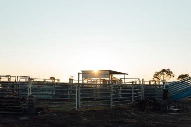 Other (Rural) For Sale - NSW - Moree - 2400 - The Long Yard, Moree  (Image 2)