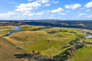 Lifestyle Sold - NSW - Luskintyre - 2321 - Lower Hunter Lifestyle with elite equine opportunities  (Image 2)