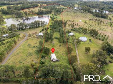 Lifestyle For Sale - NSW - Caniaba - 2480 - Nearly 27 Acres with Great Water  (Image 2)