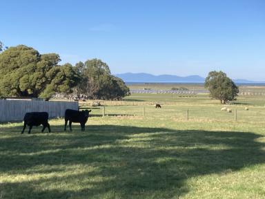 Residential Block For Sale - VIC - Toora - 3962 - Stunning views over Inlet and Prom  (Image 2)