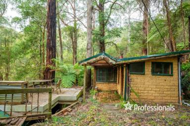 Residential Block For Sale - VIC - East Warburton - 3799 - UNIQUE PROPERTY OPPORTUNITY ON OVER 8.5 ACRES  (Image 2)