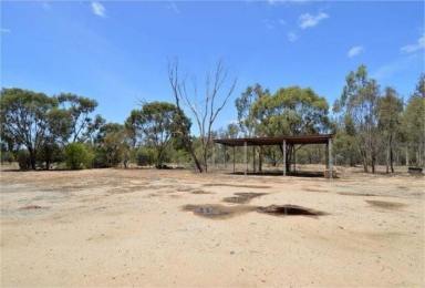 Livestock For Sale - NSW - Moama - 2731 - Prime Rural Lifestyle Opportunity with Exceptional Features  (Image 2)