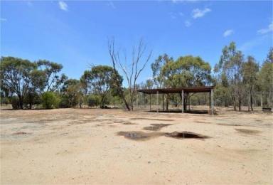 Livestock Sold - NSW - Moama - 2731 - Prime Rural Lifestyle Opportunity with Exceptional Features  (Image 2)