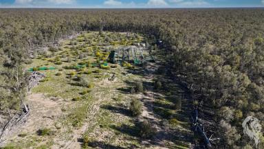 Mixed Farming For Sale - NSW - Wee Waa - 2388 - WEEKEND GETAWAY - HUNTING BLOCK  (Image 2)