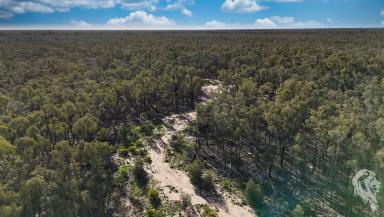 Mixed Farming For Sale - NSW - Wee Waa - 2388 - WEEKEND GETAWAY - HUNTING BLOCK  (Image 2)