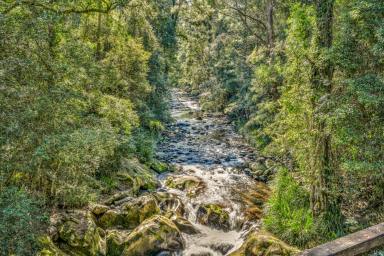 Acreage/Semi-rural Sold - NSW - Salisbury - 2420 - Secluded Riverfront Retreat  (Image 2)