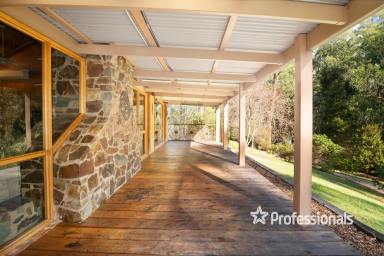 House For Sale - VIC - Launching Place - 3139 - ESCAPE TO NATURE  (Image 2)