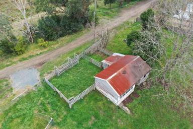 Residential Block For Sale - VIC - Sarsfield - 3875 - Secluded Farmlet At Sarsfield  (Image 2)