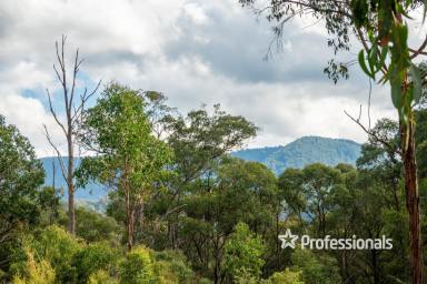 Residential Block Sold - VIC - McMahons Creek - 3799 - IDYLLIC SLICE OF AUSTRALIAN BUSHLAND  (Image 2)