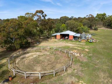 House Sold - VIC - Myrtle Creek - 3551 - The Perfect Blend of Rustic Elegance, Self-Sufficiency and Modern Comfort  (Image 2)