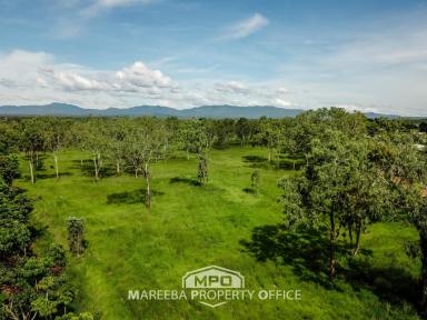 Residential Block For Sale - QLD - Mareeba - 4880 - INVEST... DEVELOP... OCCUPY  (Image 2)