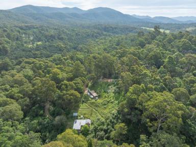 Acreage/Semi-rural For Sale - NSW - Brogo - 2550 - PRIVATE OFF-GRID LIVING  (Image 2)