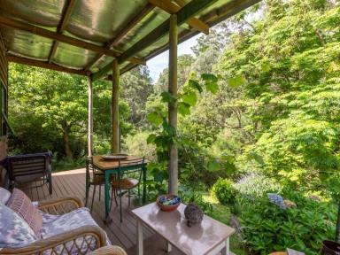 Acreage/Semi-rural For Sale - NSW - Brogo - 2550 - PRIVATE OFF-GRID LIVING  (Image 2)