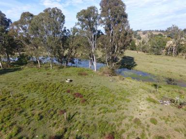 Mixed Farming Sold - NSW - Casino - 2470 - 'WINSTON PARK' - 12 ACRES  (Image 2)