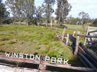 Mixed Farming Sold - NSW - Casino - 2470 - 'WINSTON PARK' - 12 ACRES  (Image 2)