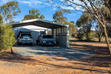 Acreage/Semi-rural Sold - SA - Moorook - 5332 - AFFORDABLE ACREAGE WITH 4 BEDROOMS & SHEDDING  (Image 2)