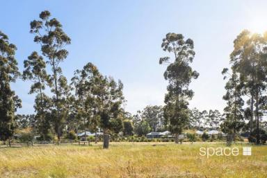 Residential Block Sold - WA - Witchcliffe - 6286 - Southwest Lifestyle  (Image 2)