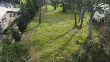 Residential Block For Sale - QLD - Macleay Island - 4184 - Close to water  (Image 2)