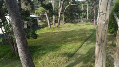 Residential Block For Sale - QLD - Macleay Island - 4184 - Close to water  (Image 2)